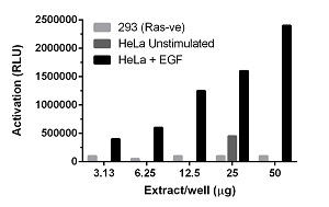 ELISA - Ras GTPase ELISA Kit (Chemiluminescent) (AB134640)