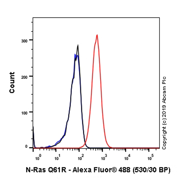 Flow Cytometry (Intracellular) - Anti-Ras (mutated Q61R) antibody [SP174] (ab227658), expandable thumbnail