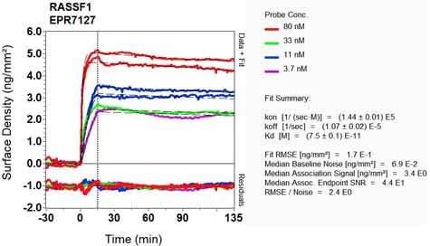 OI-RD Scanning - Anti-RASSF1 antibody [EPR7127] (AB126764)