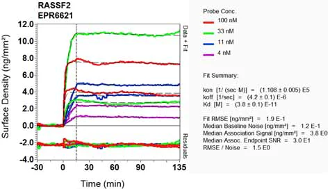 OI-RD Scanning - Anti-RASSF2 antibody [EPR6621] (AB124786)
