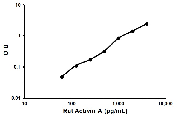 Sandwich ELISA - Rat Activin A ELISA Kit (AB119570), expandable thumbnail