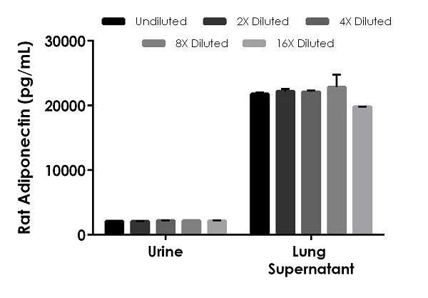 Sandwich ELISA - Rat Adiponectin ELISA Kit (AB239421)