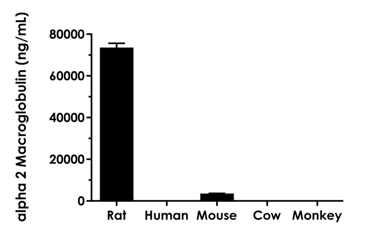 Sandwich ELISA - Rat alpha 2 Macroglobulin ELISA Kit (AB320793)