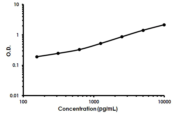 Sandwich ELISA - Rat Angiopoietin-1 ELISA Kit (AB213920)