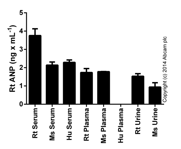Rat ANP ELISA Kit (NPPA)