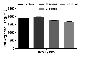 Sandwich ELISA - Rat Arginase1 ELISA Kit (AB231923)