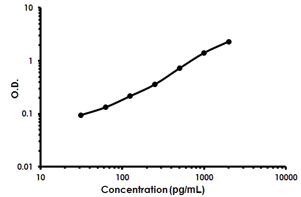 Sandwich ELISA - Rat BDNF ELISA Kit (AB213899)