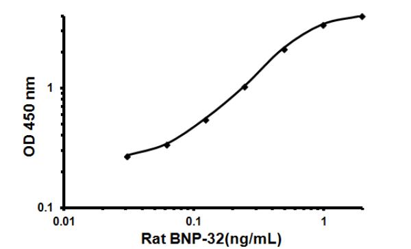 Sandwich ELISA - Rat BNP 32 ELISA Kit (AB108815), expandable thumbnail