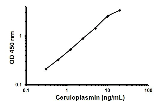 Sandwich ELISA - Rat Ceruloplasmin ELISA Kit (CERP) (AB108819)
