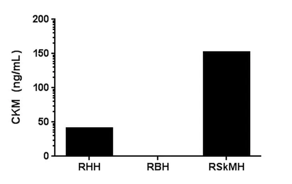 Sandwich ELISA - Rat CKM ELISA Kit (AB187396)