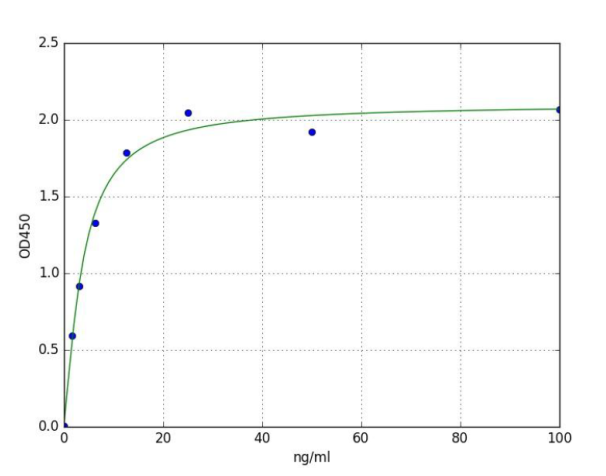 Sandwich ELISA - Rat Collagen Type I ELISA Kit (AB285314)