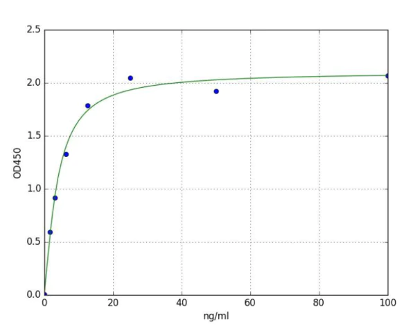 Sandwich ELISA - Rat Collagen Type I ELISA Kit (AB285314)