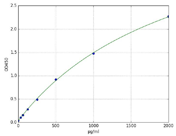 Sandwich ELISA - Rat Creatine Kinase MB ELISA Kit (AB285275), expandable thumbnail