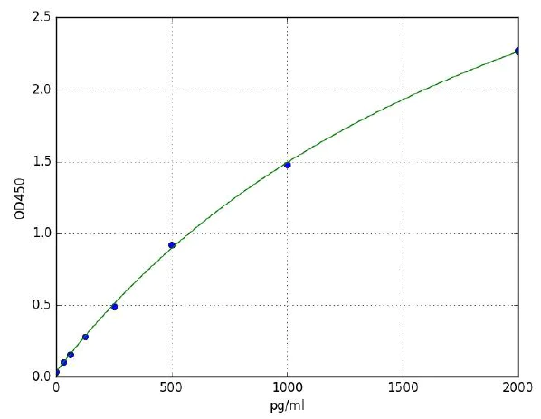 Sandwich ELISA - Rat Creatine Kinase MB ELISA Kit (AB285275)