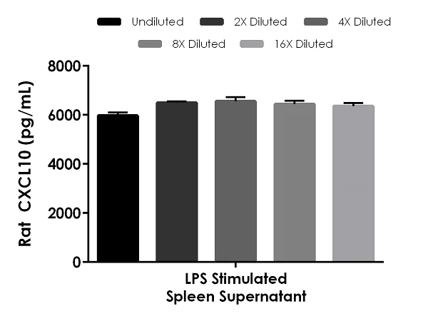 Sandwich ELISA - Rat CXCL10 ELISA Kit (AB270896)
