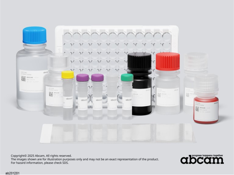 Sandwich ELISA - Rat Cystatin C ELISA Kit (AB201281)