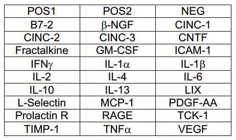 Multiplex Protein Detection - Rat Cytokine Antibody Array (27 Targets) - Quantitative (AB197483), expandable thumbnail