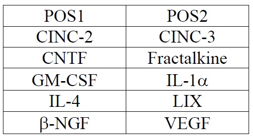 Multiplex Protein Detection - Rat Cytokine Antibody Array A (10 Targets) - Quantitative (AB197481), expandable thumbnail