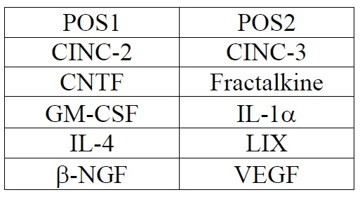 Multiplex Protein Detection - Rat Cytokine Antibody Array A (10 Targets) - Quantitative (AB197481)