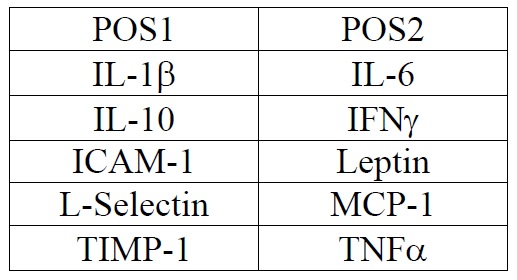 Multiplex Protein Detection - Rat Cytokine Antibody Array B (10 Targets) - Quantitative (AB197482), expandable thumbnail