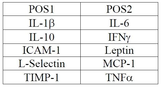 Multiplex Protein Detection - Rat Cytokine Antibody Array B (10 Targets) - Quantitative (AB197482)