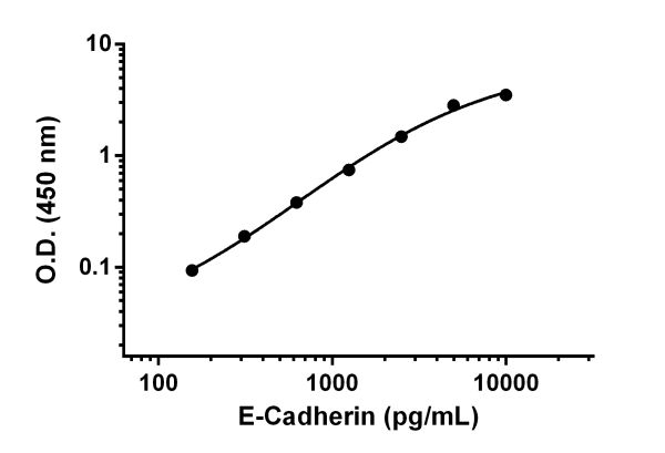 Rat E-Cadherin ELISA Kit