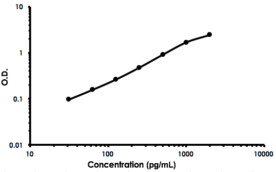 Sandwich ELISA - Rat FGF1 ELISA Kit (AB213914)