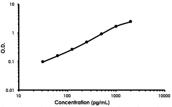 Sandwich ELISA - Rat FGF1 ELISA Kit (AB213914)