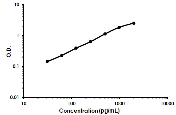 Sandwich ELISA - Rat GDNF ELISA Kit (AB213901), expandable thumbnail