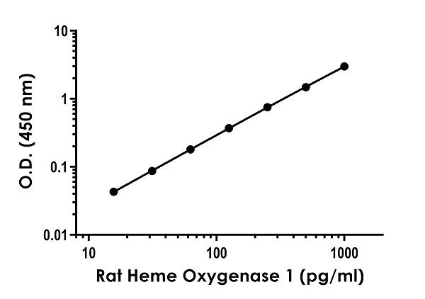 Sandwich ELISA - Rat Heme Oxygenase 1 ELISA Kit (AB279414)