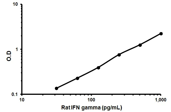 Sandwich ELISA - Rat IFN gamma ELISA Kit (AB46107)