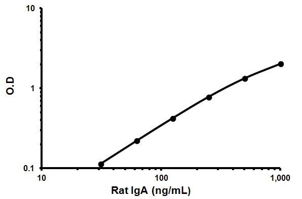 Sandwich ELISA - Rat IgA ELISA Kit (AB157735), expandable thumbnail