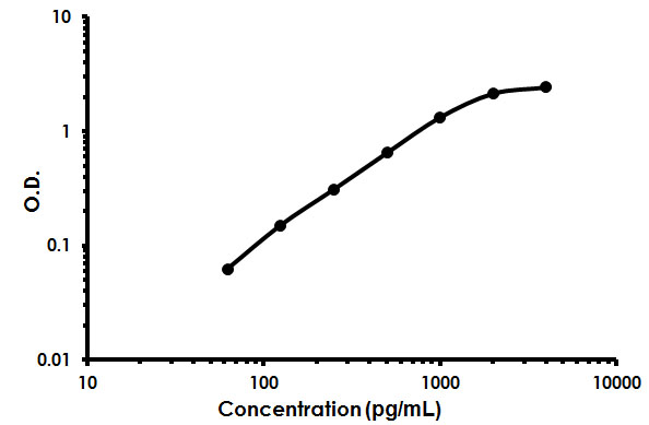 Sandwich ELISA - Rat IGF-1 ELISA Kit (AB213902), expandable thumbnail