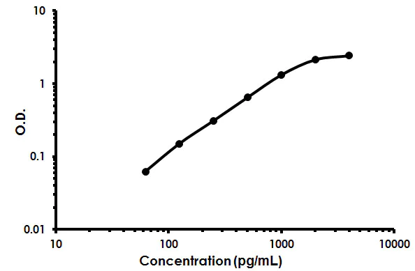 Sandwich ELISA - Rat IGF-1 ELISA Kit (AB213902)