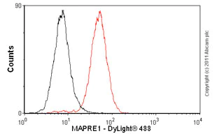 Flow Cytometry - Rat IgG2a, kappa monoclonal [RTK2758] - Isotype Control (AB18450)