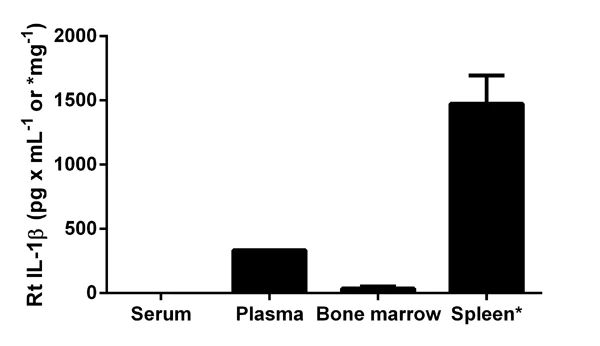 Sandwich ELISA - Rat IL-1 beta ELISA Kit (AB100768)