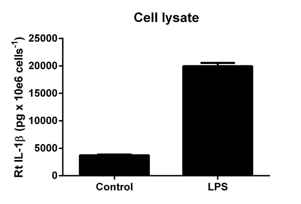 Sandwich ELISA - Rat IL-1 beta ELISA Kit (AB100768)