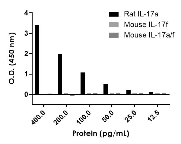 Sandwich ELISA - Rat IL-17A ELISA Kit (AB214028)