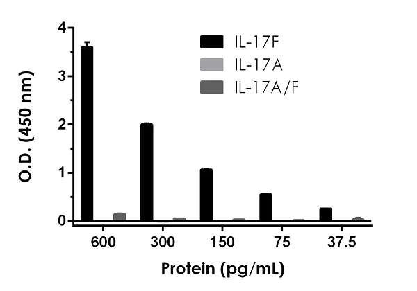 Sandwich ELISA - Rat IL-17F ELISA Kit (AB239423)