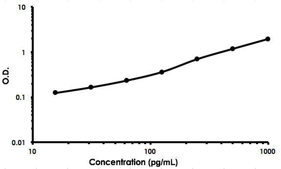 Sandwich ELISA - Rat IL-18 ELISA Kit (AB213909)