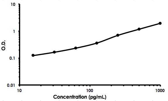 Sandwich ELISA - Rat IL-18 ELISA Kit (AB213909)