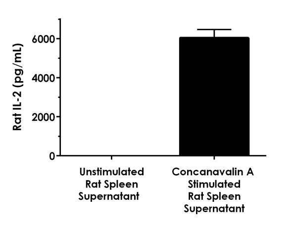 ELISA - Rat IL-2 ELISA Kit (AB221834)