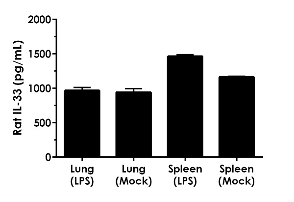 Sandwich ELISA - Rat IL-33 ELISA Kit (AB236714)