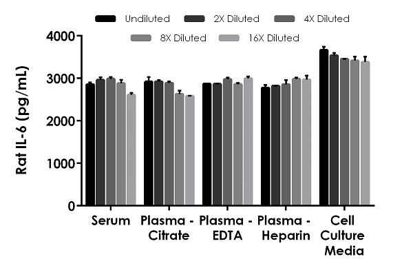 Sandwich ELISA - Rat IL-6 ELISA Kit (AB234570), expandable thumbnail