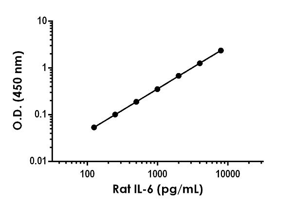 Sandwich ELISA - Rat IL-6 ELISA Kit (AB234570), expandable thumbnail