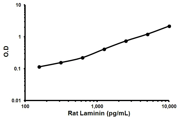 Sandwich ELISA - Rat Laminin ELISA Kit (AB119573)