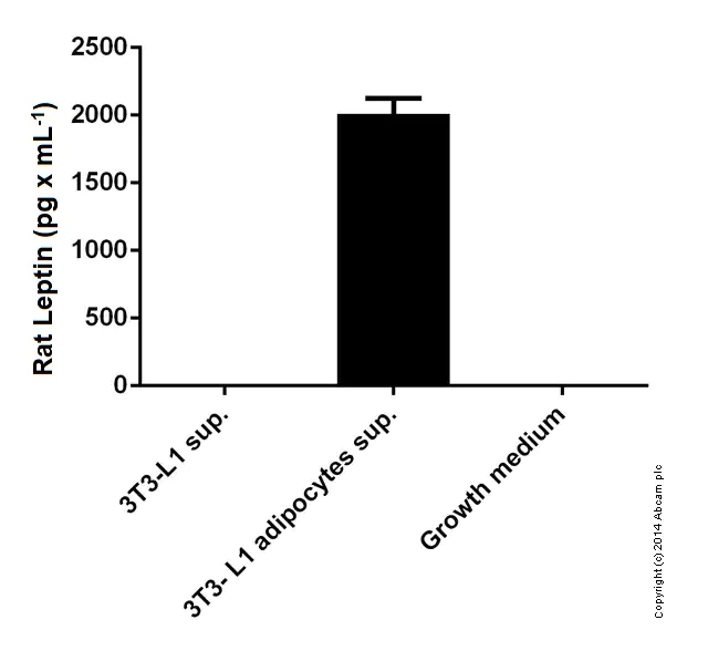 Sandwich ELISA - Rat Leptin ELISA Kit (AB100773)