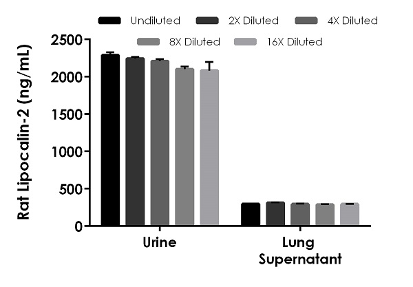 Sandwich ELISA - Rat Lipocalin-2 ELISA Kit (AB239422)