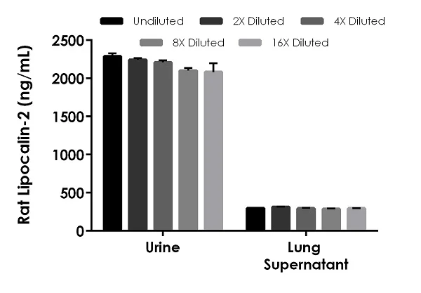 Sandwich ELISA - Rat Lipocalin-2 ELISA Kit, Chemiluminescent (AB326403)