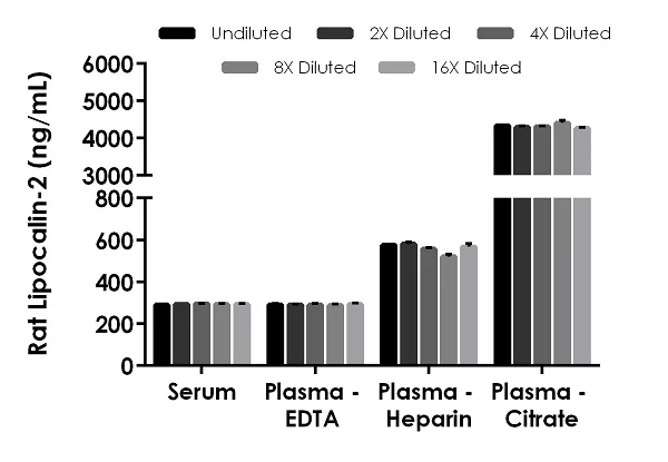 Sandwich ELISA - Rat Lipocalin-2 ELISA Kit, Chemiluminescent (AB326403)